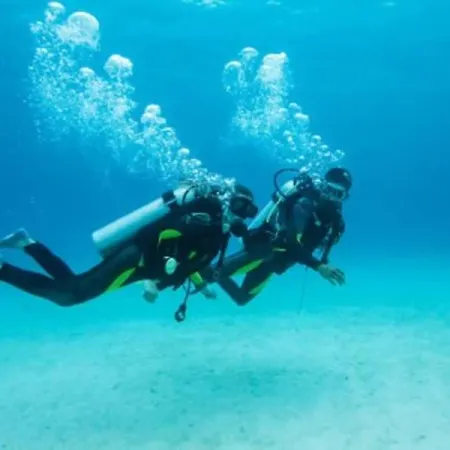 Bb45 Superior Holiday's House Cir 19082053c204471 Palermo